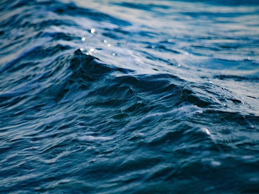 Perché gli oceani sono importanti?